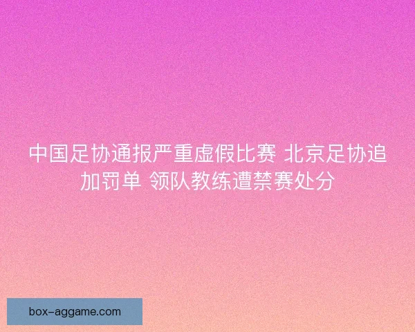 中国足协通报严重虚假比赛 北京足协追加罚单 领队教练遭禁赛处分